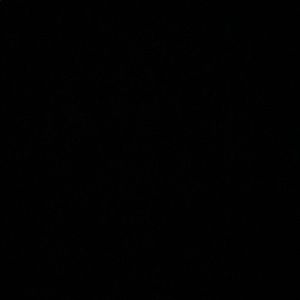 Meet your Posher, Cole